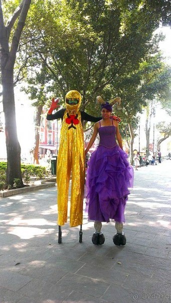  Мехико: район Койоакан, музей Фриды Кало и парки