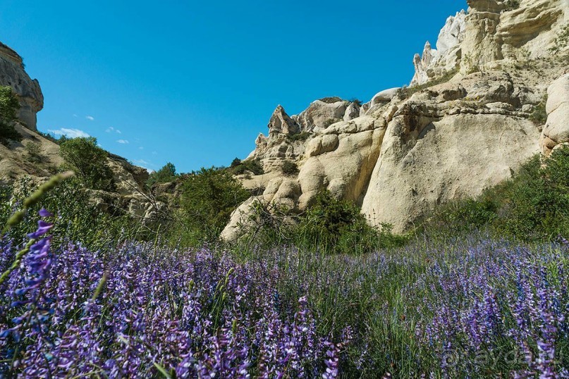 Каппадокия – за гранью восприятия. 3-й день: Голубиная долина, город Учхисар и Долина Любви