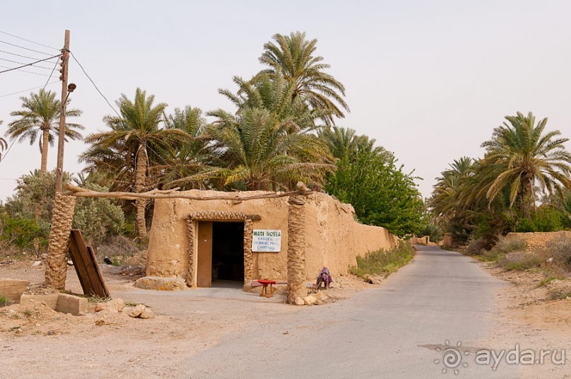 Сирия, Пальмира