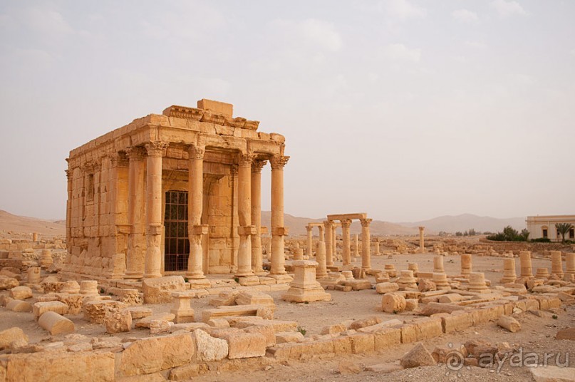 Сирия, Пальмира