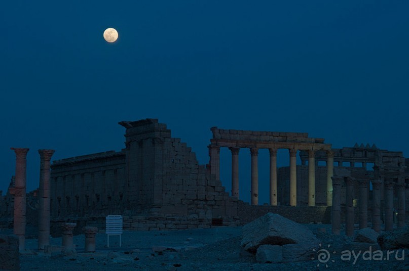 Сирия, Пальмира