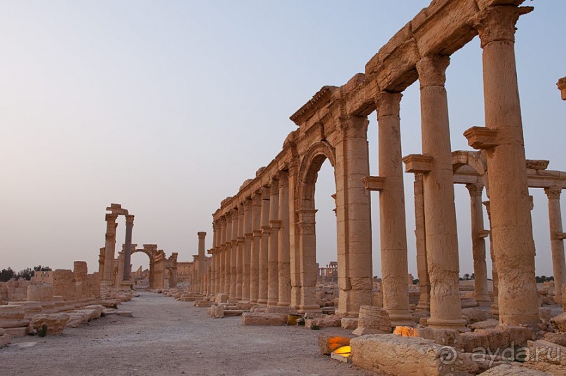Сирия, Пальмира