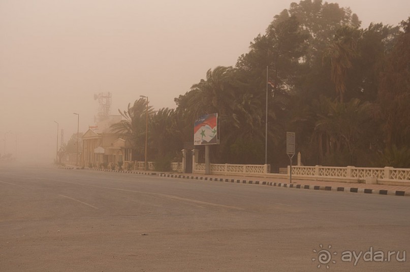 Сирия, Пальмира