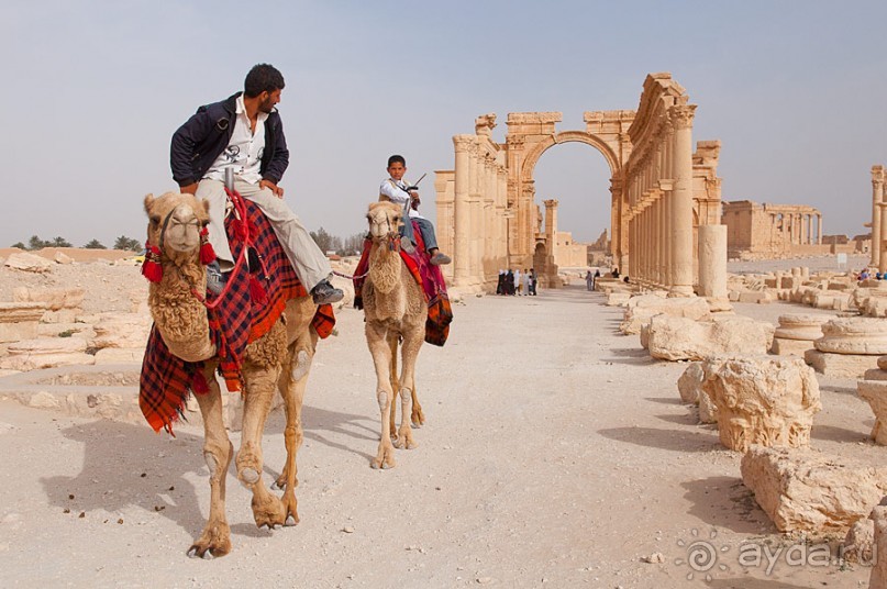 Сирия, Пальмира