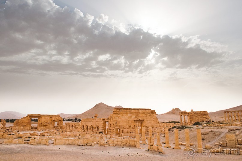 Сирия, Пальмира