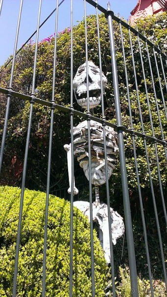 Мехико: районы Сан-Анхель, Иподромо, Кондеса, Колония Рома и Зона Роса