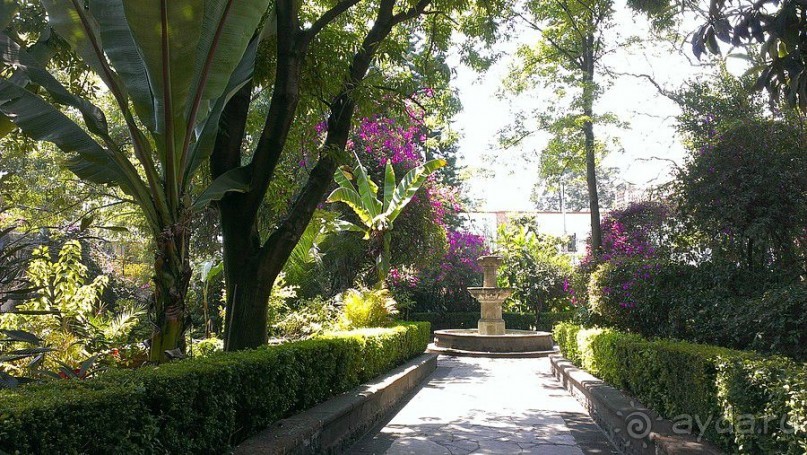 Мехико: районы Сан-Анхель, Иподромо, Кондеса, Колония Рома и Зона Роса