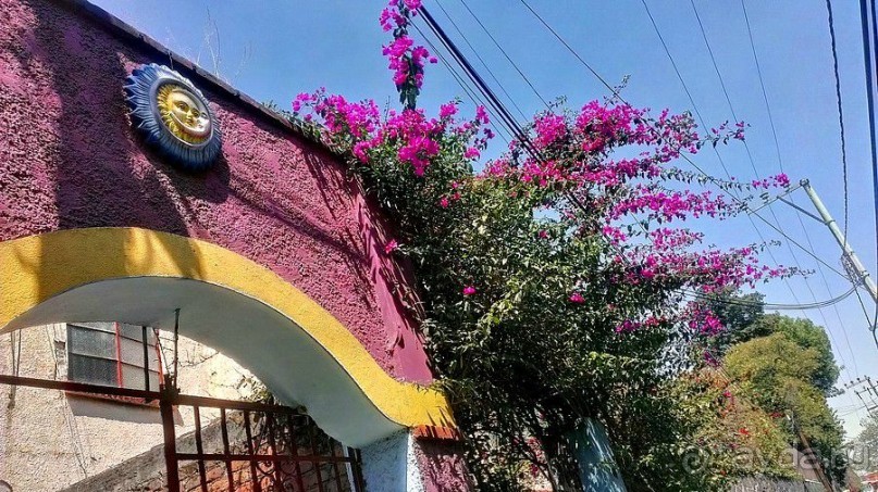 Мехико: районы Сан-Анхель, Иподромо, Кондеса, Колония Рома и Зона Роса