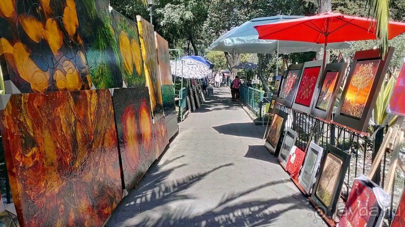 Мехико: районы Сан-Анхель, Иподромо, Кондеса, Колония Рома и Зона Роса