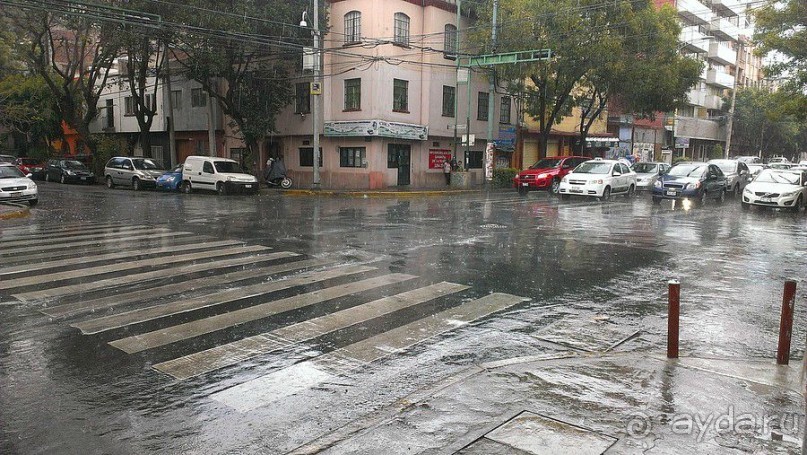 Мехико: районы Сан-Анхель, Иподромо, Кондеса, Колония Рома и Зона Роса