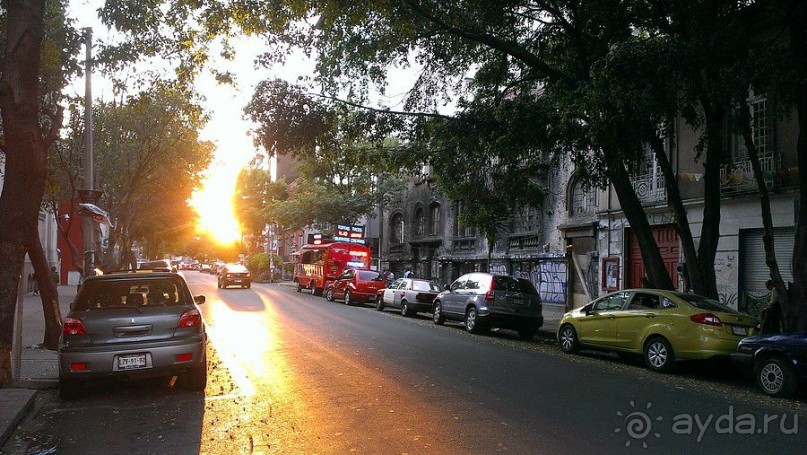 Мехико: районы Сан-Анхель, Иподромо, Кондеса, Колония Рома и Зона Роса