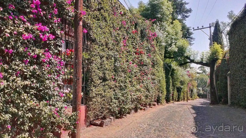 Мехико: районы Сан-Анхель, Иподромо, Кондеса, Колония Рома и Зона Роса