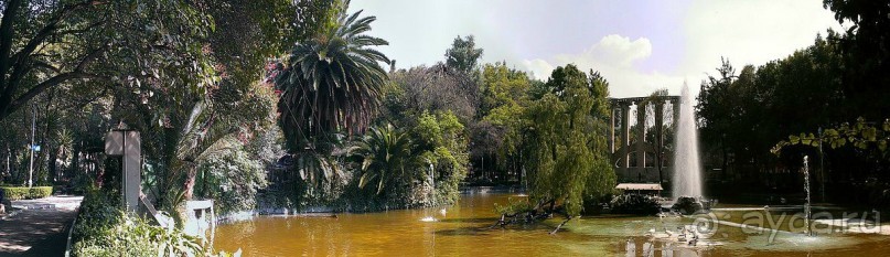 Мехико: районы Сан-Анхель, Иподромо, Кондеса, Колония Рома и Зона Роса