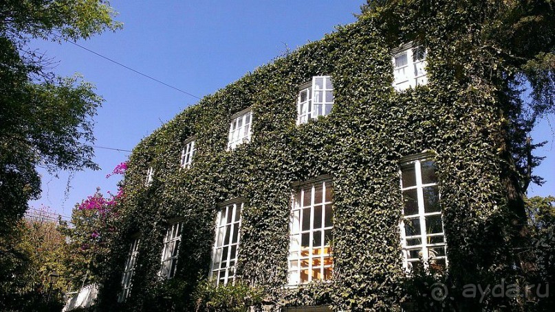 Мехико: районы Сан-Анхель, Иподромо, Кондеса, Колония Рома и Зона Роса