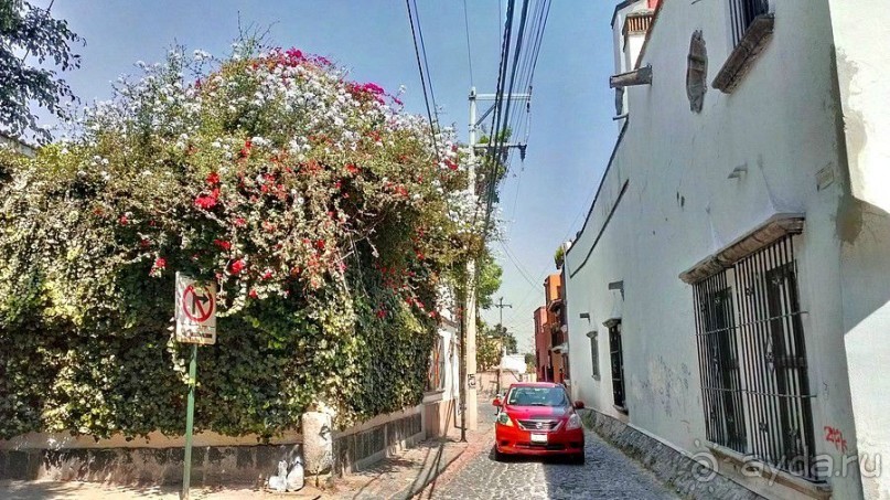 Мехико: районы Сан-Анхель, Иподромо, Кондеса, Колония Рома и Зона Роса