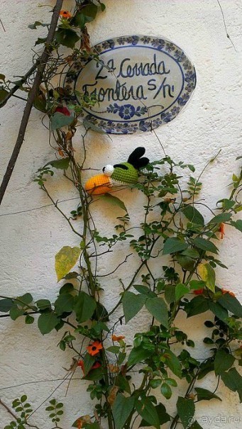 Мехико: районы Сан-Анхель, Иподромо, Кондеса, Колония Рома и Зона Роса