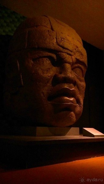 Американский Музей Естественной Истории и планетарий