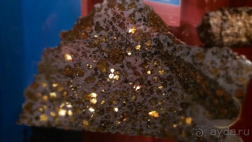 Американский Музей Естественной Истории и планетарий