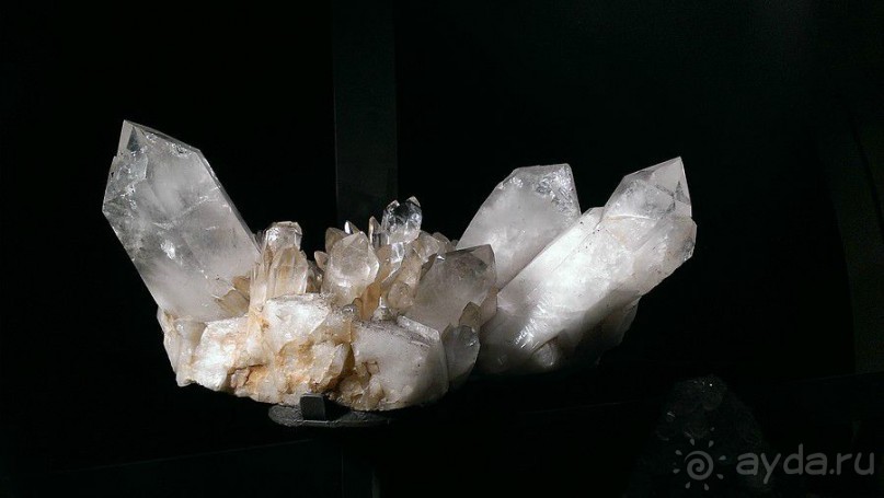 Американский Музей Естественной Истории и планетарий