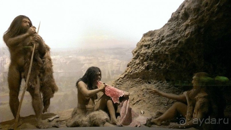 Американский Музей Естественной Истории и планетарий Американский Музей Естественной Истории и планетарий