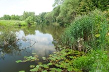 Волоколамск и окресности