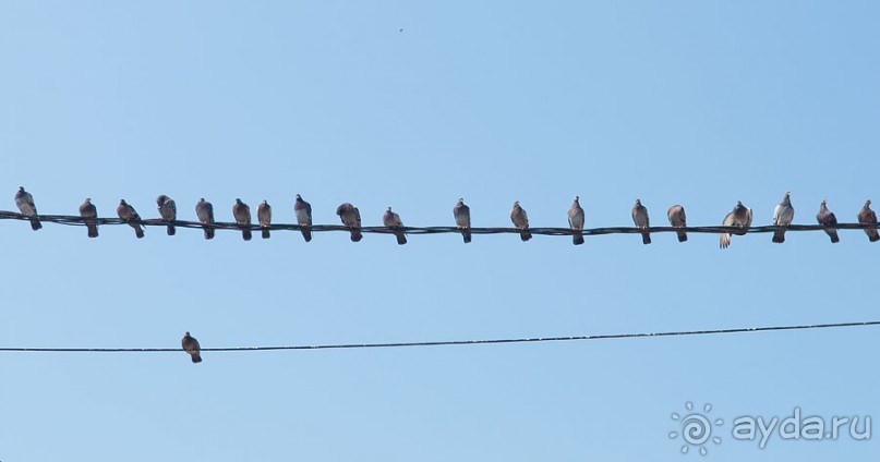Волоколамск и окресности