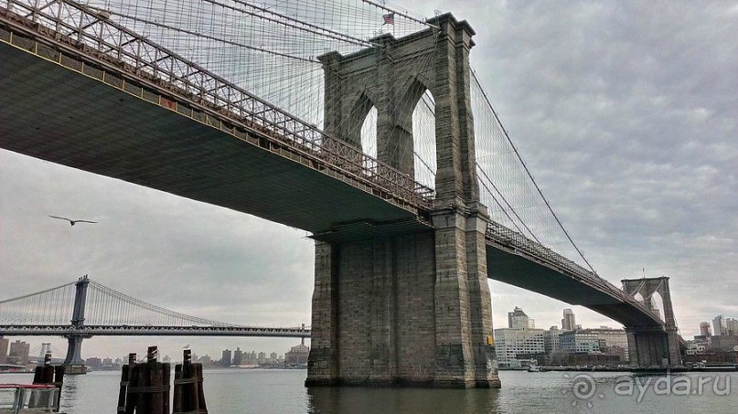 Статуя Свободы и прогулка по Бруклину Статуя Свободы и прогулка по Бруклину