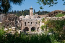 Хама — небольшой городок посреди Сирии