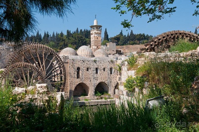 Хама — небольшой городок посреди Сирии