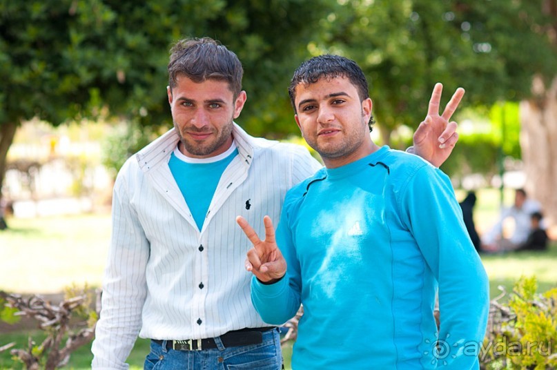 Хама — небольшой городок посреди Сирии