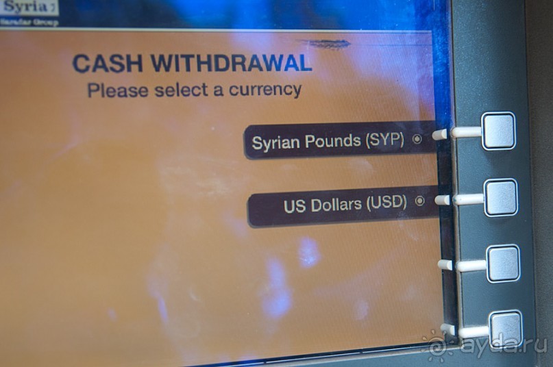 Хама — небольшой городок посреди Сирии