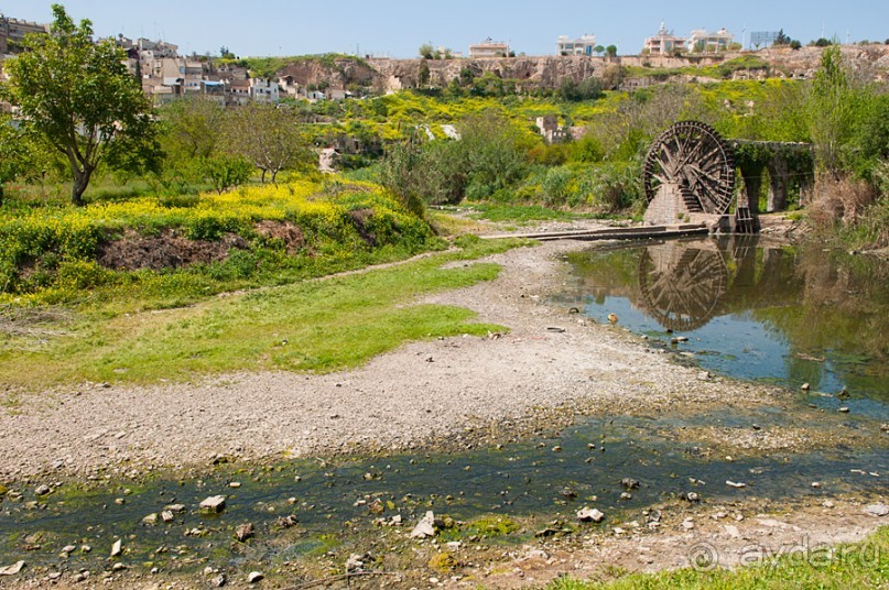 Хама — небольшой городок посреди Сирии