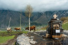 Волшебный Казбек или прогулка из Степанцминды к Троицкой церкви в Гергети