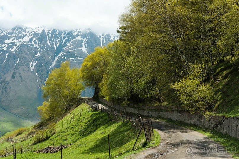 Волшебный Казбек или прогулка из Степанцминды к Троицкой церкви в Гергети