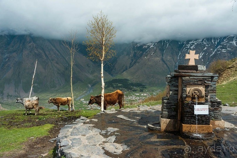 Волшебный Казбек или прогулка из Степанцминды к Троицкой церкви в Гергети