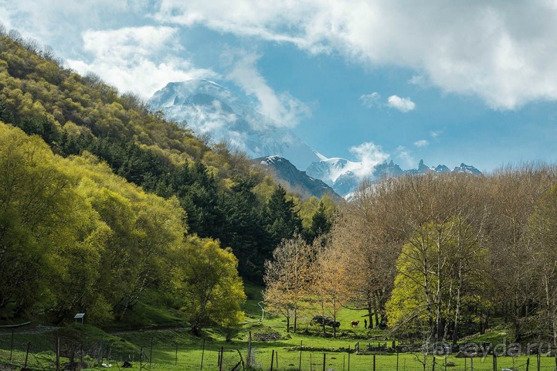 Волшебный Казбек или прогулка из Степанцминды к Троицкой церкви в Гергети
