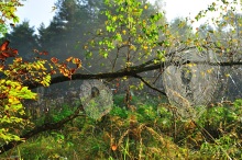 Осенний поход в Никола-Ленивец