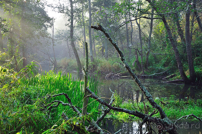 Осенний поход в Никола-Ленивец