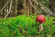 Осенний поход в Никола-Ленивец