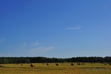 Осенний поход в Никола-Ленивец