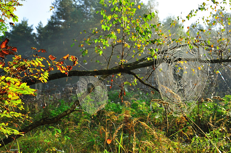 Осенний поход в Никола-Ленивец
