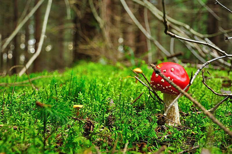 Осенний поход в Никола-Ленивец