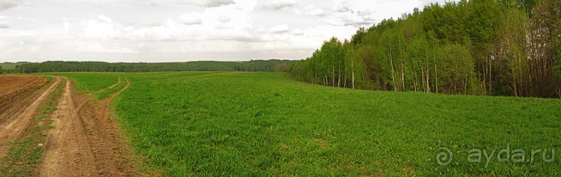 Весенний походик