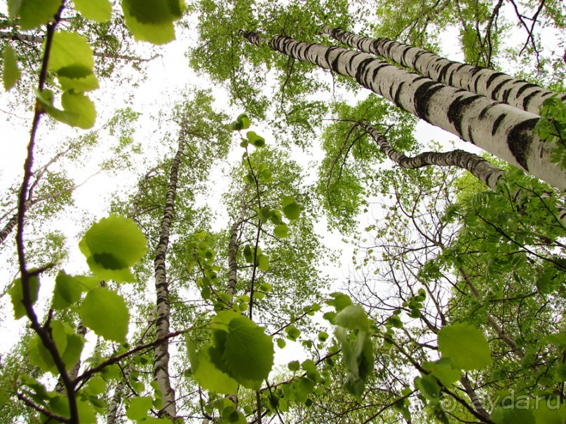 Весенний походик