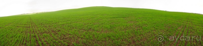 Весенний походик