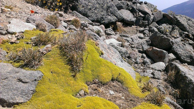 Вулканы Мексики: Попокатепетль и Истаксиуатль (Popocatepetl - Iztaccihuatl National Park)