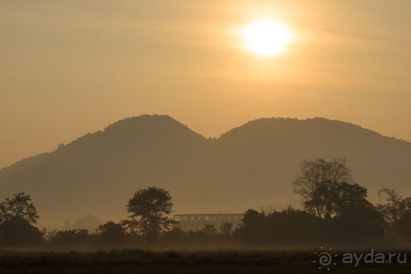 Альбом отзыва "Таиланд, детали"