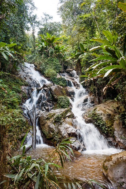 Альбом отзыва "Таиланд, детали"