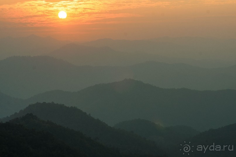 Альбом отзыва "Таиланд, детали"