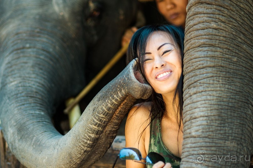 Альбом отзыва "Таиланд, детали"